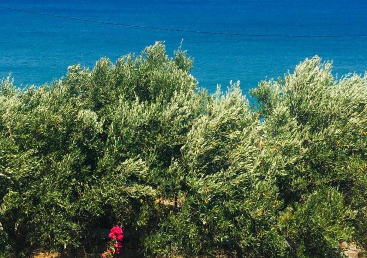 Aris House - Cretan Hospitality Lejlighed Ágios Nikólaos Eksteriør billede